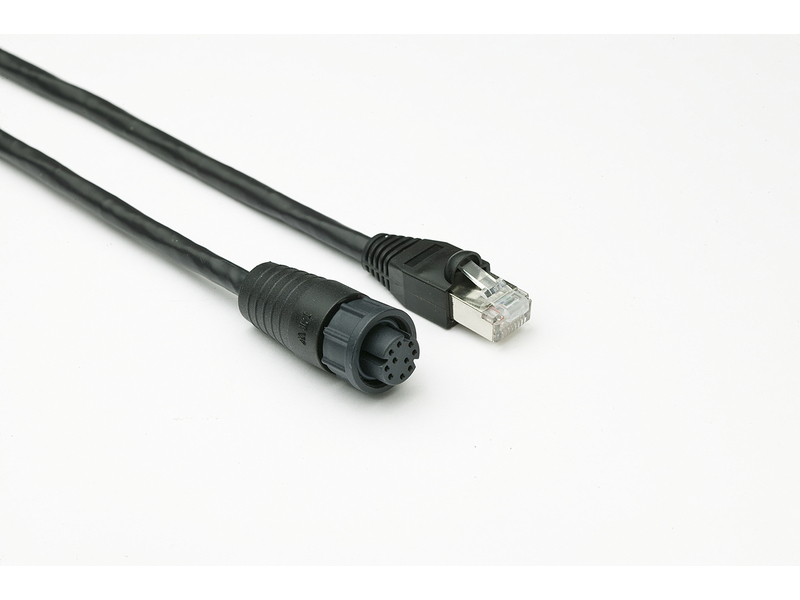 Cabo RayNet para RJ45 Macho 1m