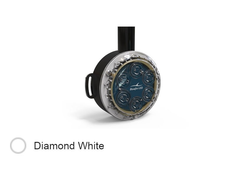 Piranha DL6D Dock Light – 24V, 3600 lumen, LED Dock Light Diamond White