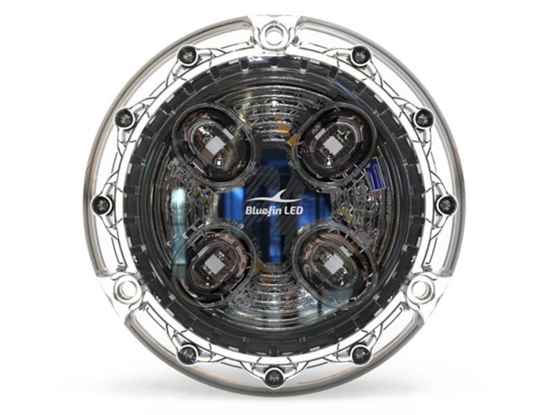 Piranha P4 Polymer – Cobalt Blue Underwater LED light